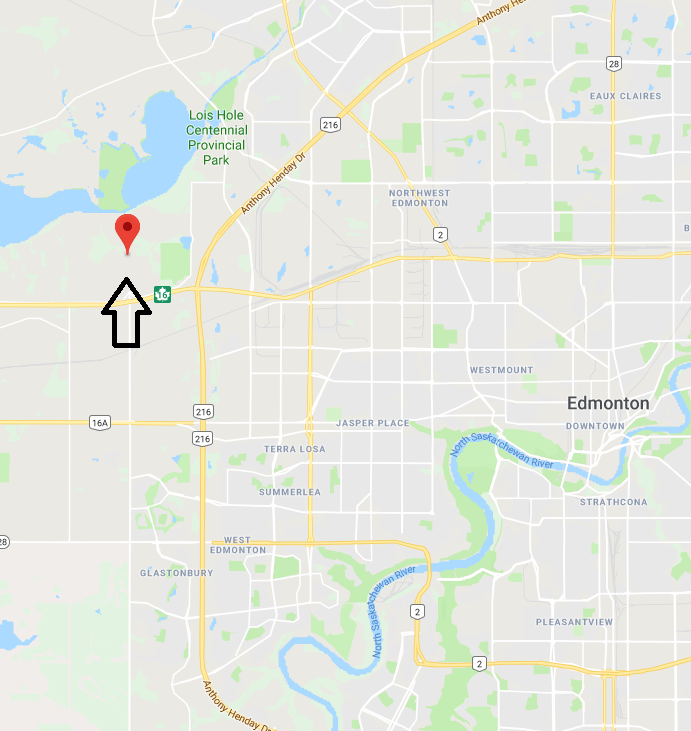 Edmonton community of Kinglet