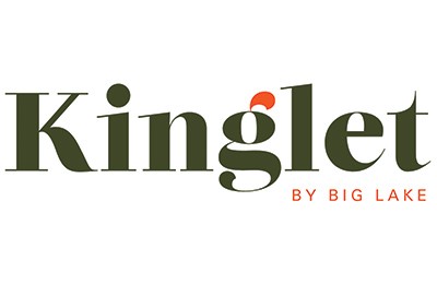 Kinglet by Big Lake